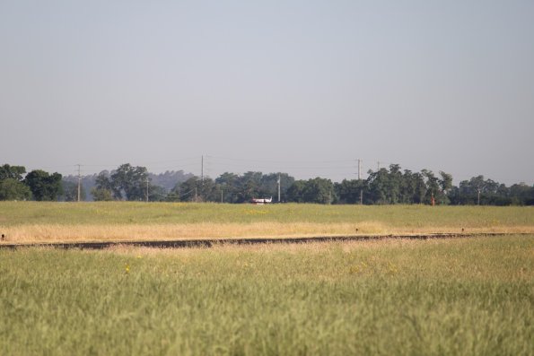 2023-05-13_075049_IMG_0963