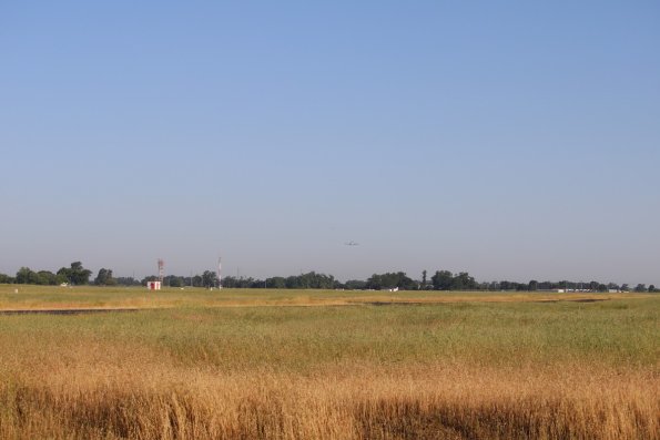 2023-05-13_080705_IMG_0969