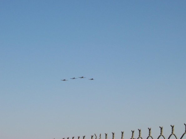 2008_AllRedStar_1126