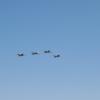 2008_AllRedStar_1128
