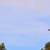Columbia2014_2520252872529