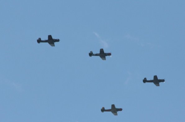 HornetFlight2012