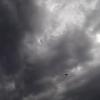 DSCF0302