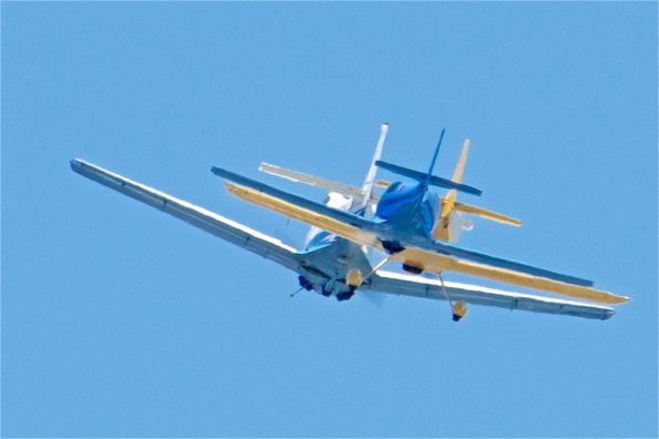TAM_2160