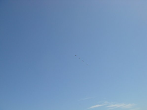 2009-04-25_104959_DSC03872