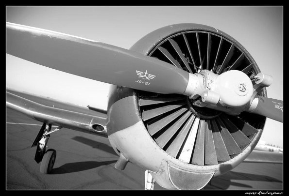 N923YK_NoseShotGrey