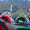 RedStarsSTS