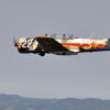 DSC_0180_edited