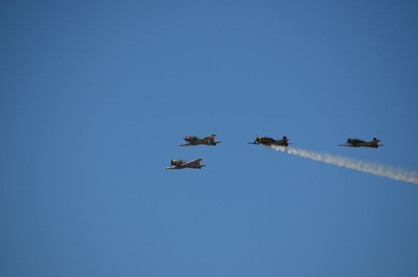 DSC_0966