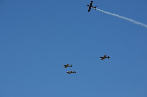 DSC_0968