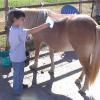 20020921004_TJ_Ginger