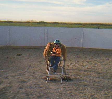 20021005_TylerGinger1