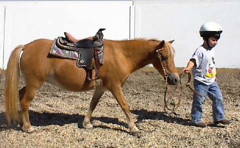 20020921002_TJ_Ginger