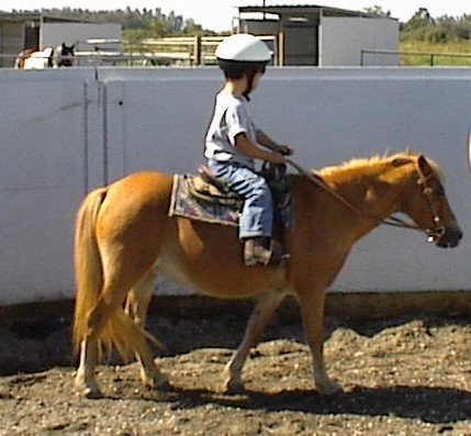 20020921003_TJ_Ginger