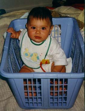 basket
