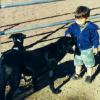 tj-dog1-20000901