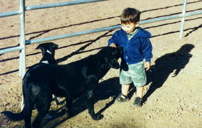 tj-dog1-20000901