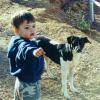 tj-dog2-20000901