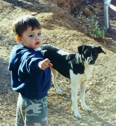 tj-dog2-20000901
