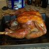 Thanksgiving2009_3