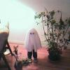 boo1
