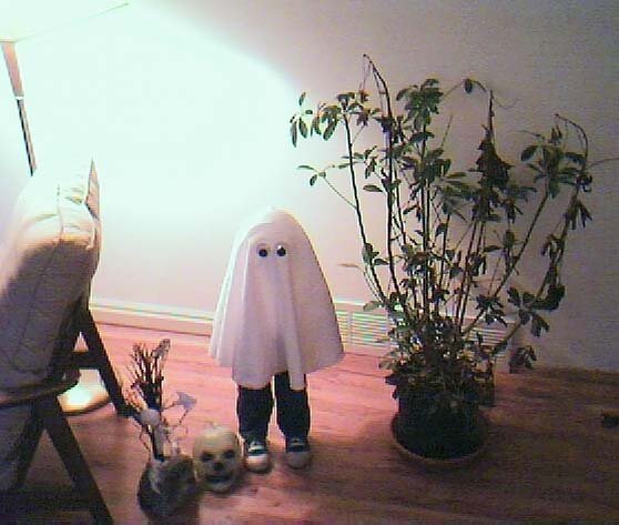 boo1