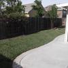 Yard201105-01