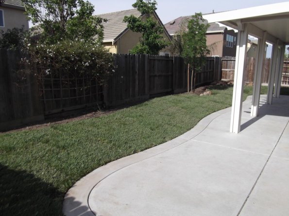 Yard201105-01