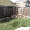 Yard201105-02