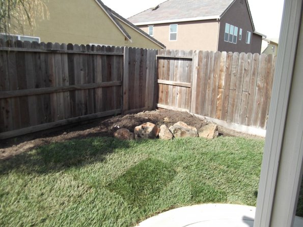Yard201105-02