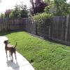 Yard201105-03