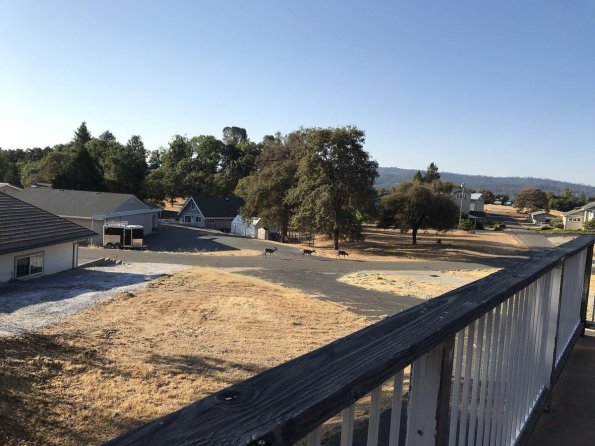 DeckView