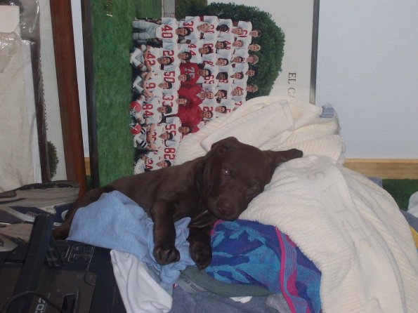 20050921_JoJo_laundry