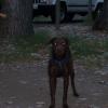 20060819_JoJoGlowCamping