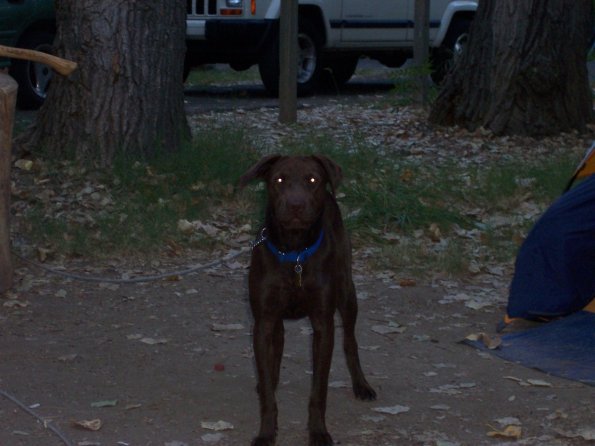 20060819_JoJoGlowCamping