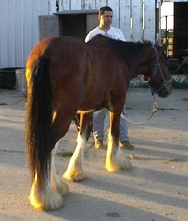 snickers9