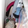200704_Kitty01