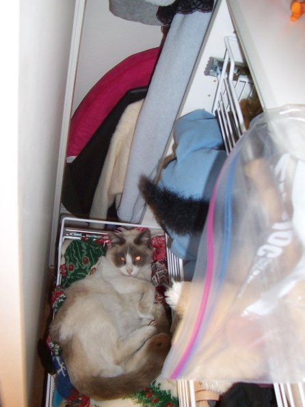 200704_Kitty01