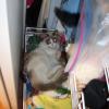 200704_Kitty02