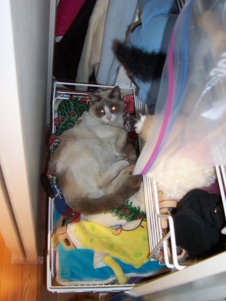 200704_Kitty02