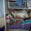 200704_Kitty03