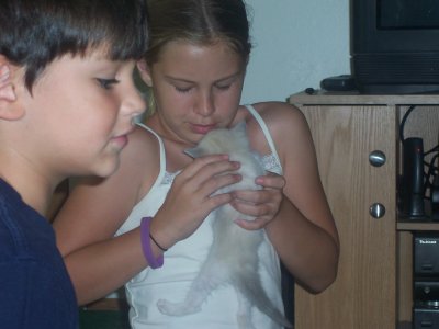 Isis_200508_122