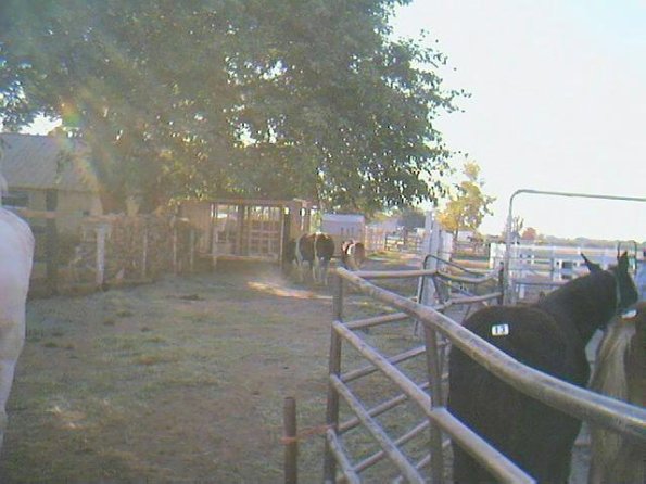 img10