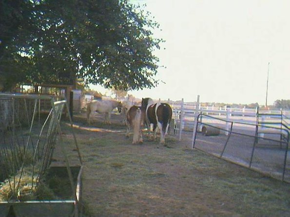 img7