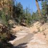 BryceCanyon