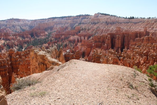 IMG_0516