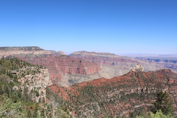 IMG_0237