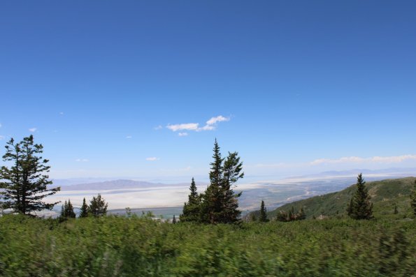 IMG_0702