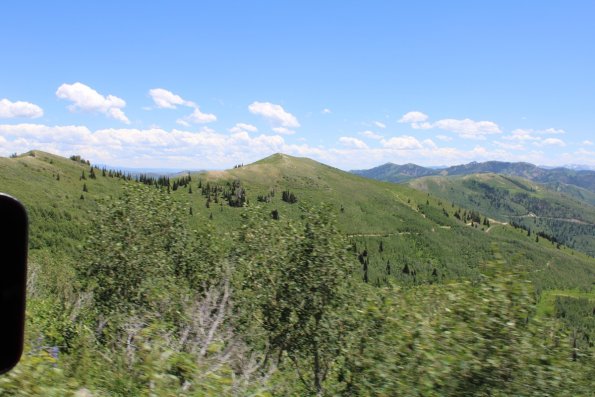 IMG_0708