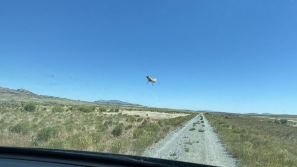 IMG_2570